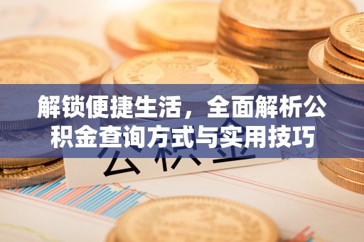 池上解锁便捷生活，全面解析公积金查询方式与实用技巧