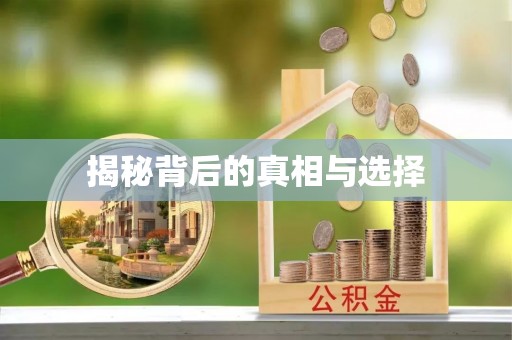 池上揭秘背后的真相与选择