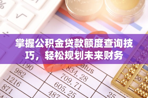 池上掌握公积金贷款额度查询技巧，轻松规划未来财务