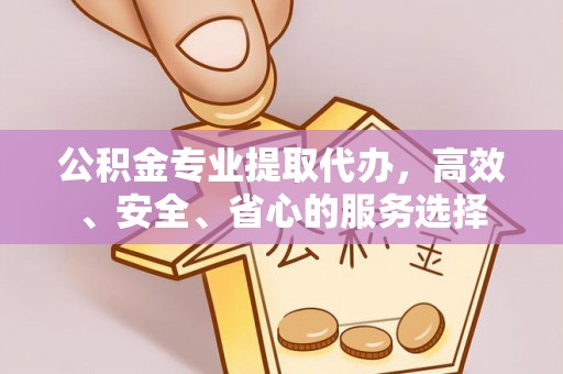 池上公积金专业提取代办，高效、安全、省心的服务选择