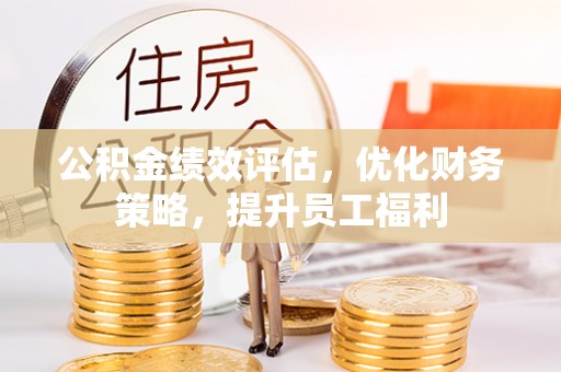 池上公积金绩效评估，优化财务策略，提升员工福利