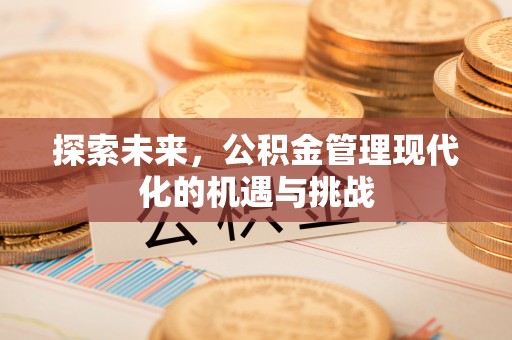 池上探索未来，公积金管理现代化的机遇与挑战
