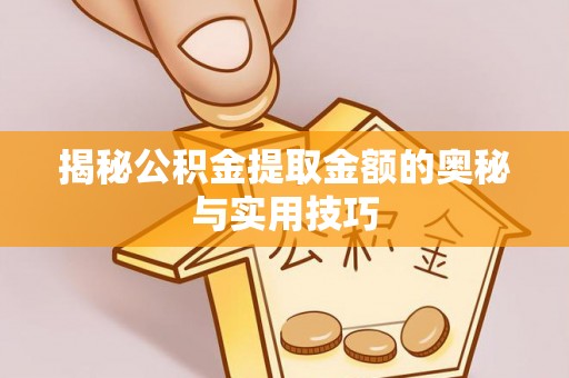 池上揭秘公积金提取金额的奥秘与实用技巧
