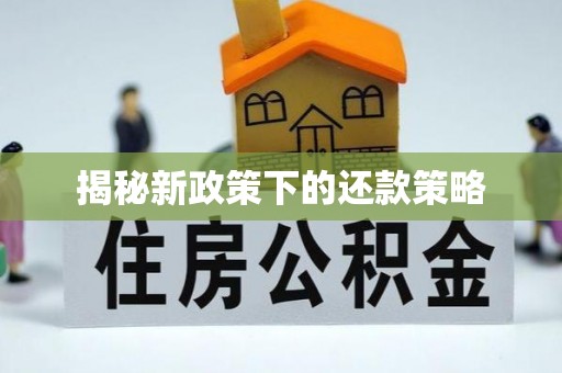 池上揭秘新政策下的还款策略