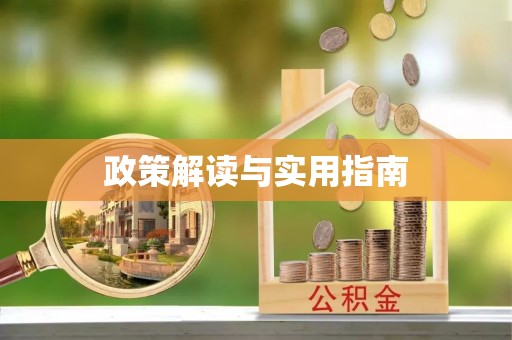 池上政策解读与实用指南