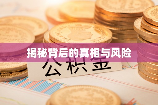 池上揭秘背后的真相与风险