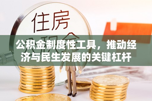 池上公积金制度性工具，推动经济与民生发展的关键杠杆