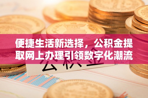池上便捷生活新选择，公积金提取网上办理引领数字化潮流