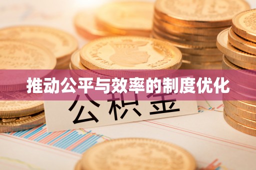 池上推动公平与效率的制度优化