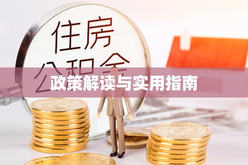 池上政策解读与实用指南