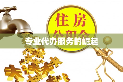 池上专业代办服务的崛起