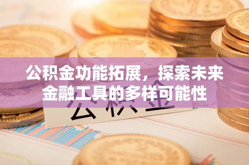 池上公积金功能拓展，探索未来金融工具的多样可能性