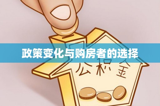 池上政策变化与购房者的选择