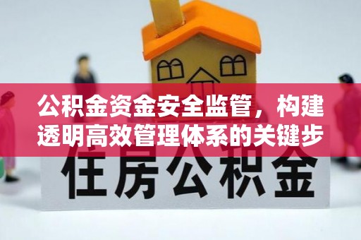 池上公积金资金安全监管，构建透明高效管理体系的关键步骤