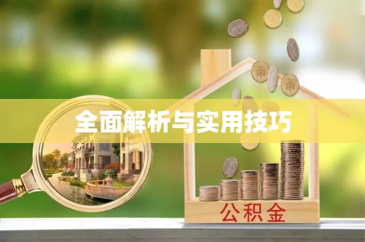 池上全面解析与实用技巧