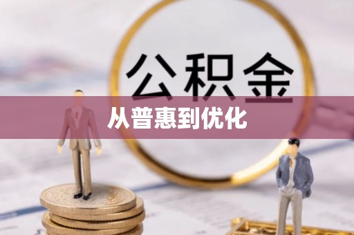 池上从普惠到优化