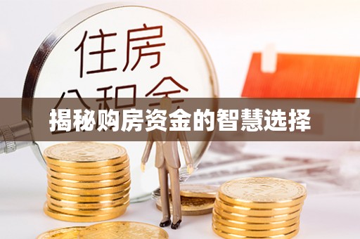 池上揭秘购房资金的智慧选择
