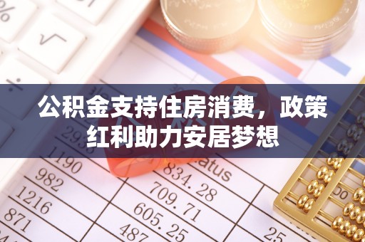 池上公积金支持住房消费，政策红利助力安居梦想