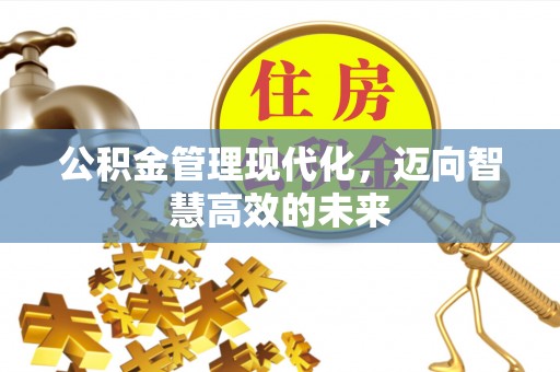 池上公积金管理现代化，迈向智慧高效的未来