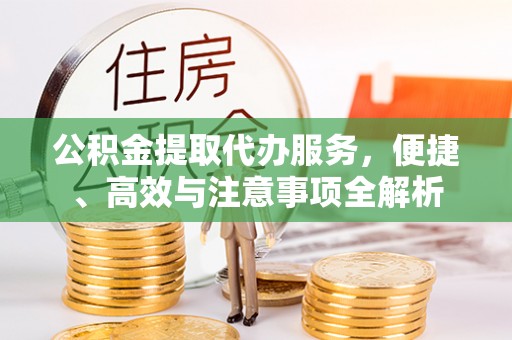 池上公积金提取代办服务，便捷、高效与注意事项全解析