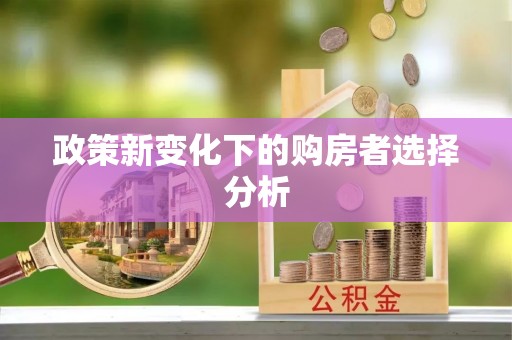 池上政策新变化下的购房者选择分析