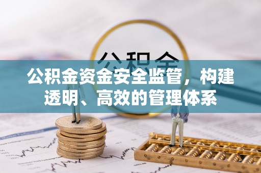 池上公积金资金安全监管，构建透明、高效的管理体系