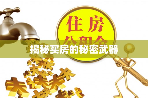 池上揭秘买房的秘密武器
