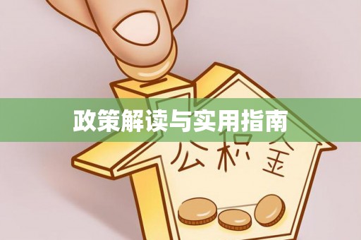 池上政策解读与实用指南