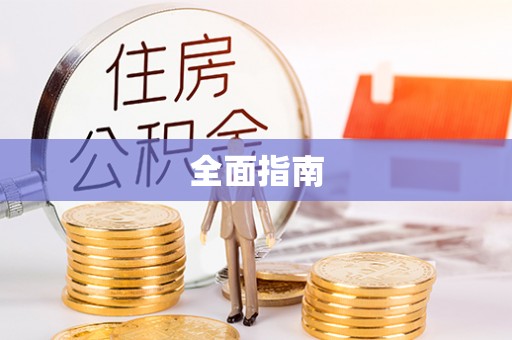 池上全面指南