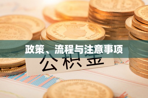 池上政策、流程与注意事项