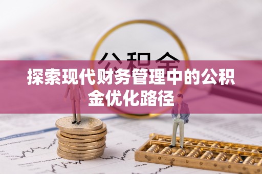池上探索现代财务管理中的公积金优化路径