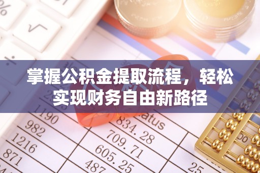 池上掌握公积金提取流程，轻松实现财务自由新路径