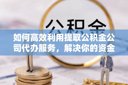 池上如何高效利用提取公积金公司代办服务，解决你的资金难题