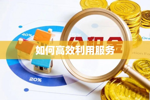 池上如何高效利用服务