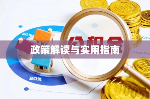 池上政策解读与实用指南