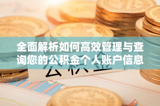 池上全面解析如何高效管理与查询您的公积金个人账户信息