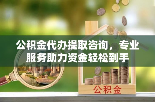 池上公积金代办提取咨询，专业服务助力资金轻松到手