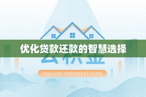 池上优化贷款还款的智慧选择