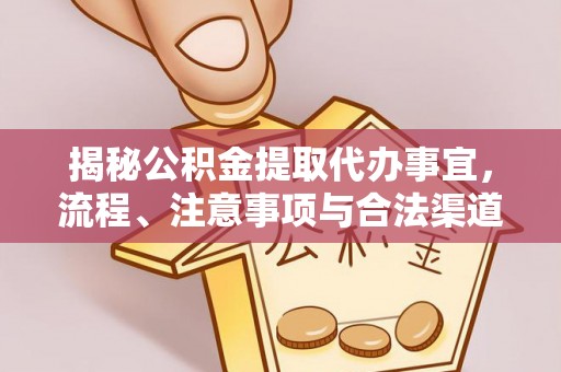 池上揭秘公积金提取代办事宜，流程、注意事项与合法渠道