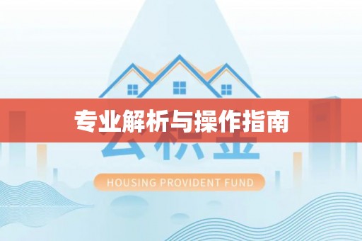 池上专业解析与操作指南