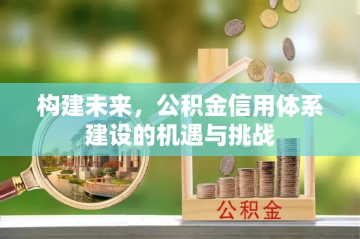 池上构建未来，公积金信用体系建设的机遇与挑战