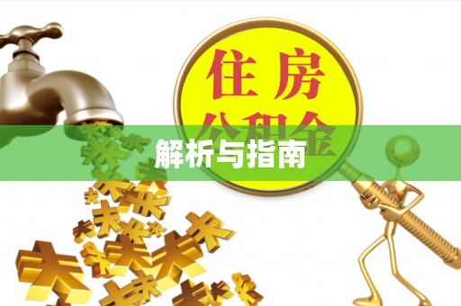 池上解析与指南