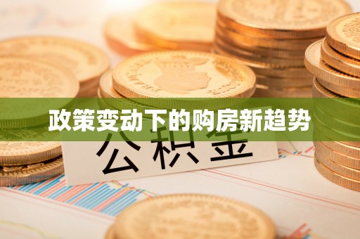 池上政策变动下的购房新趋势