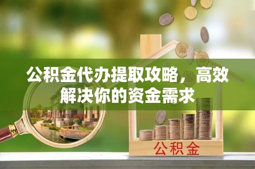池上公积金代办提取攻略，高效解决你的资金需求
