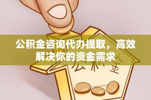 池上公积金咨询代办提取，高效解决你的资金需求