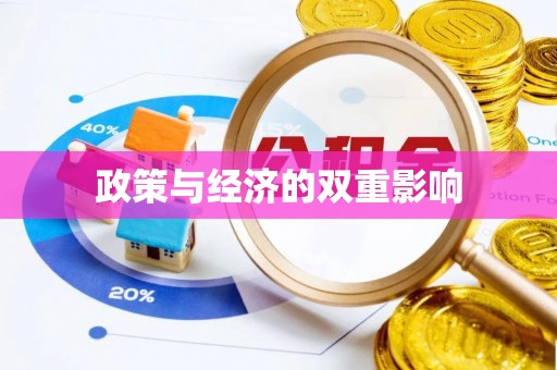 池上政策与经济的双重影响
