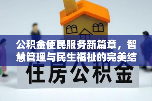池上公积金便民服务新篇章，智慧管理与民生福祉的完美结合