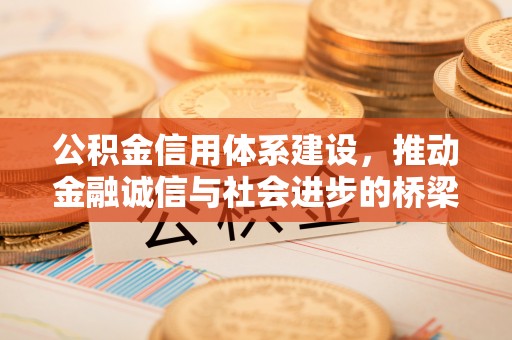 池上公积金信用体系建设，推动金融诚信与社会进步的桥梁