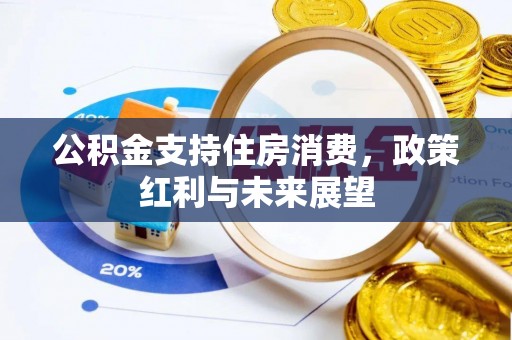 池上公积金支持住房消费，政策红利与未来展望