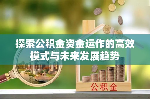 池上探索公积金资金运作的高效模式与未来发展趋势
